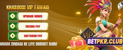 پاکستان کی پسندیدہ گیم ایپ